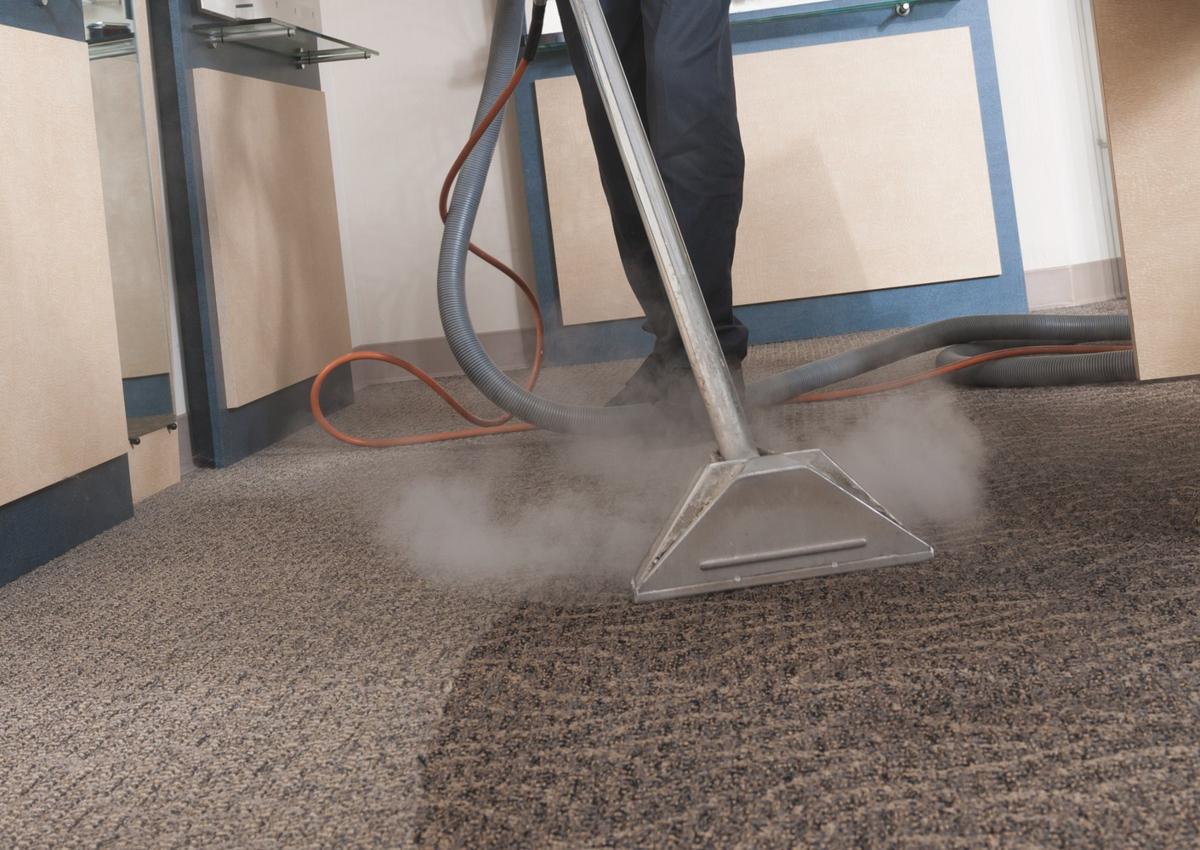 Commercial Steam Cleaner