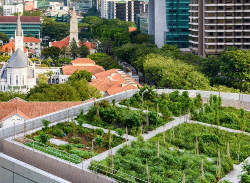 green roof Australia