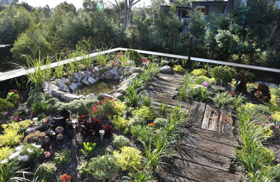 green roof Australia