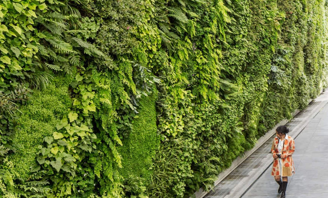 Green walls