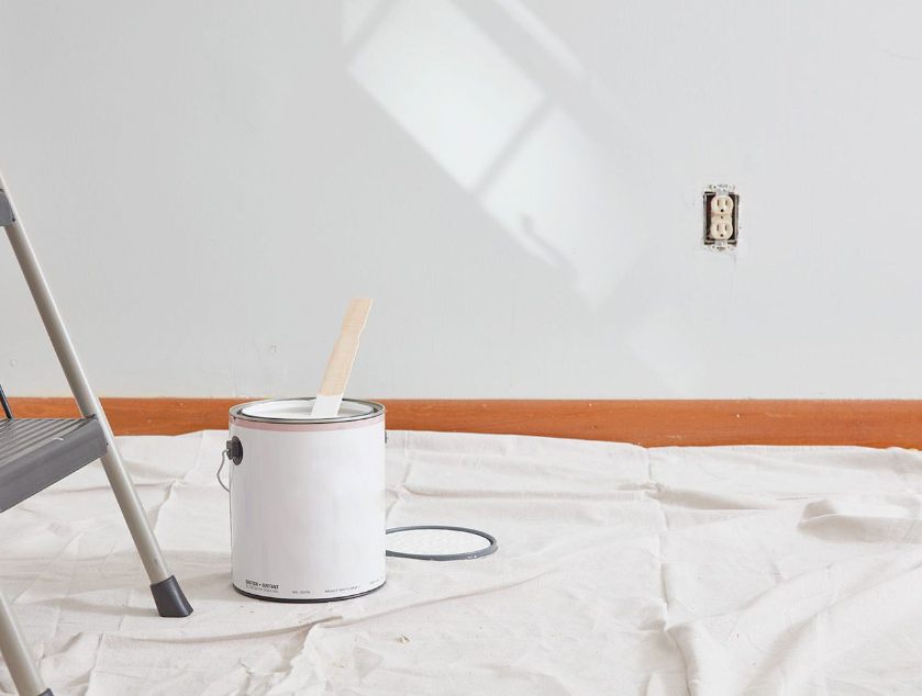 interior painters in Wellington