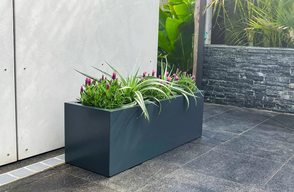 planter boxes in NZ