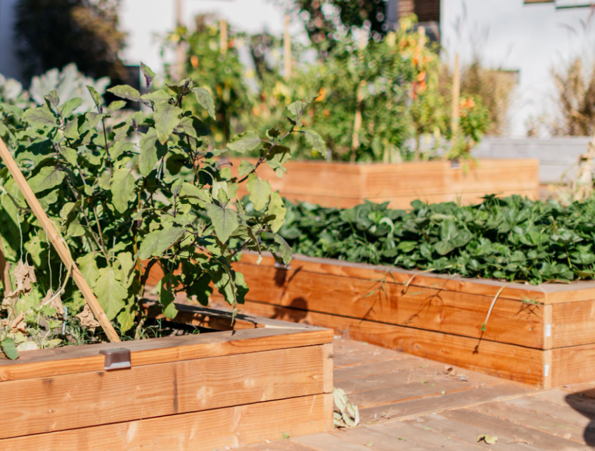 planter boxes in NZ 