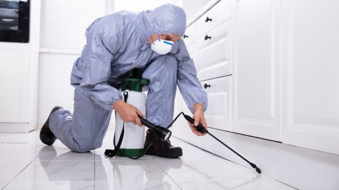 Victoria pest control reviews