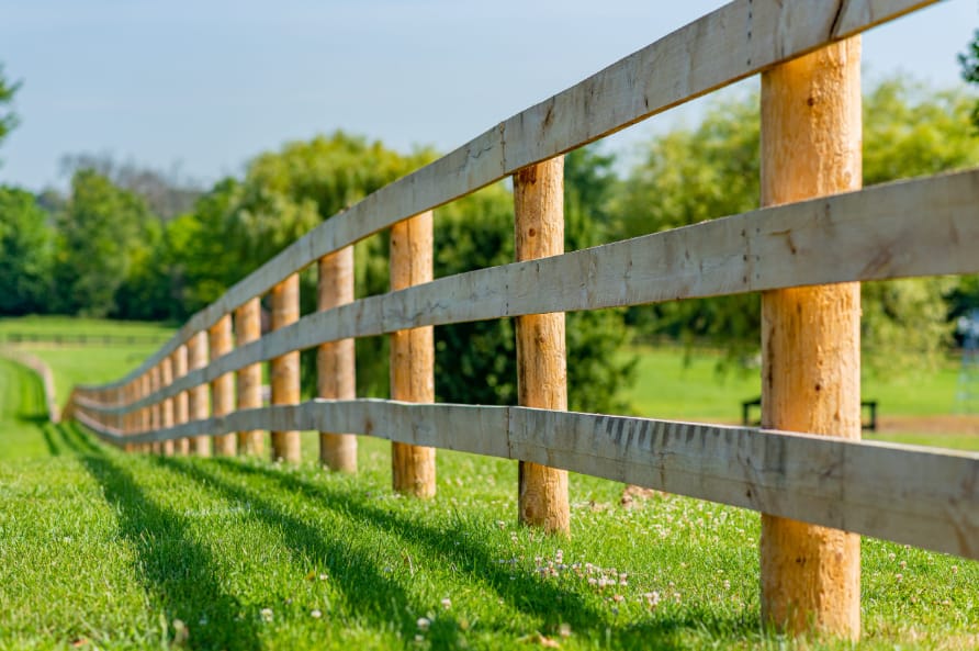 wood fence in Toronto