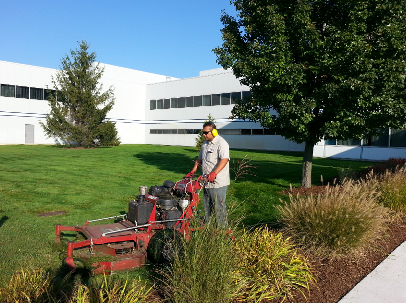 landscaping services in Auckland