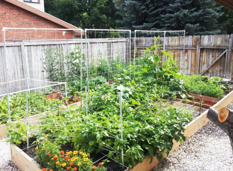 outdoor planter boxes