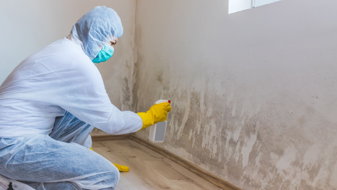 mould removal