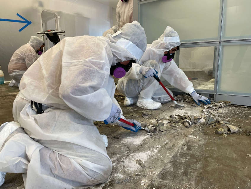 asbestos testing services in Christchurch