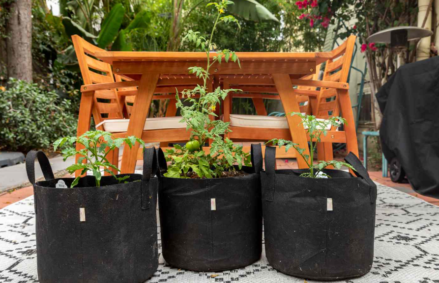 vegetable garden planters