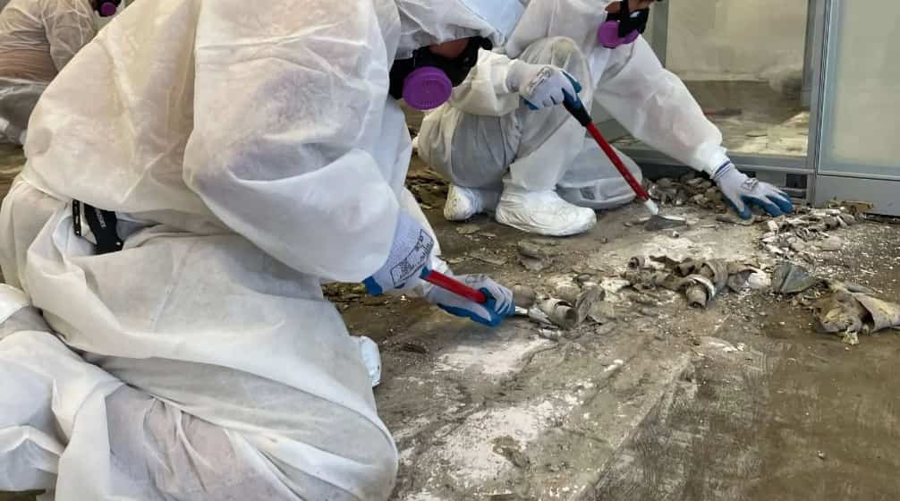 asbestos removal company